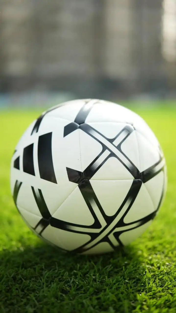 足球14场专家预测应用界面展示